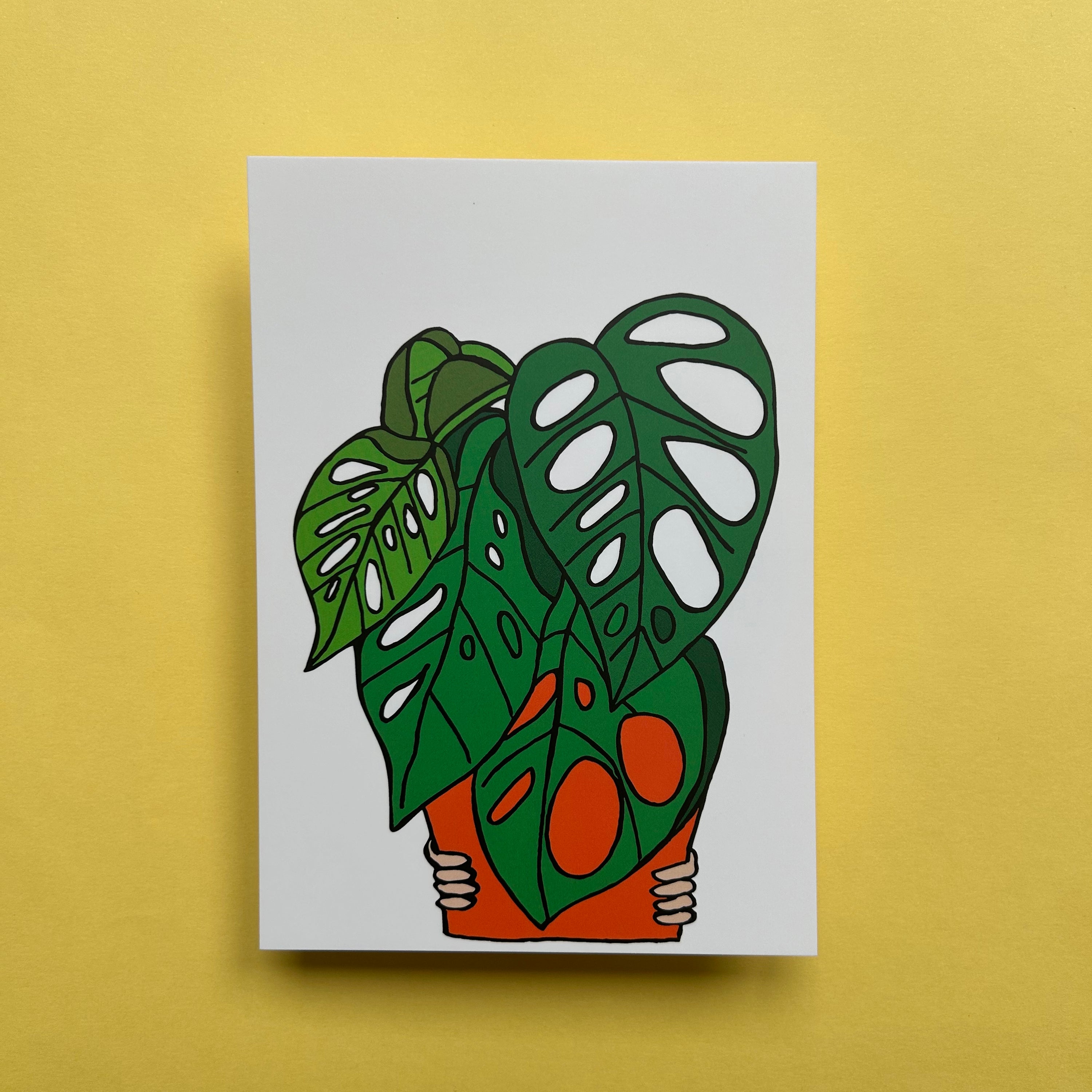 Monstera Adansonii A6 Notecard